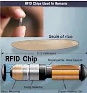 chip RFID